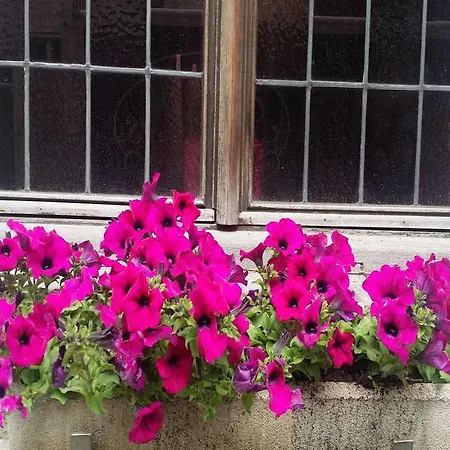 Cour St Georges
